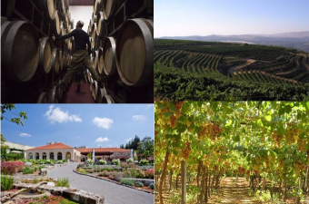 Wineries Tours in Israel